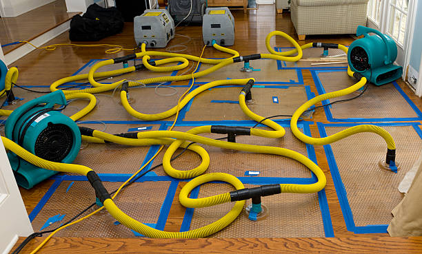Professional Water Extraction technician working in Milton, FL